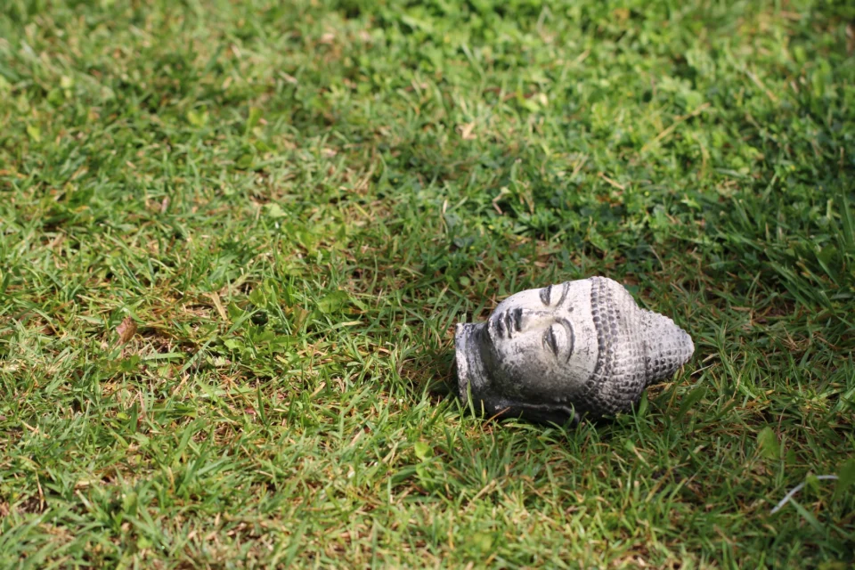 ecl ora reflexologie massage intuitif accompagnement avignon (70)